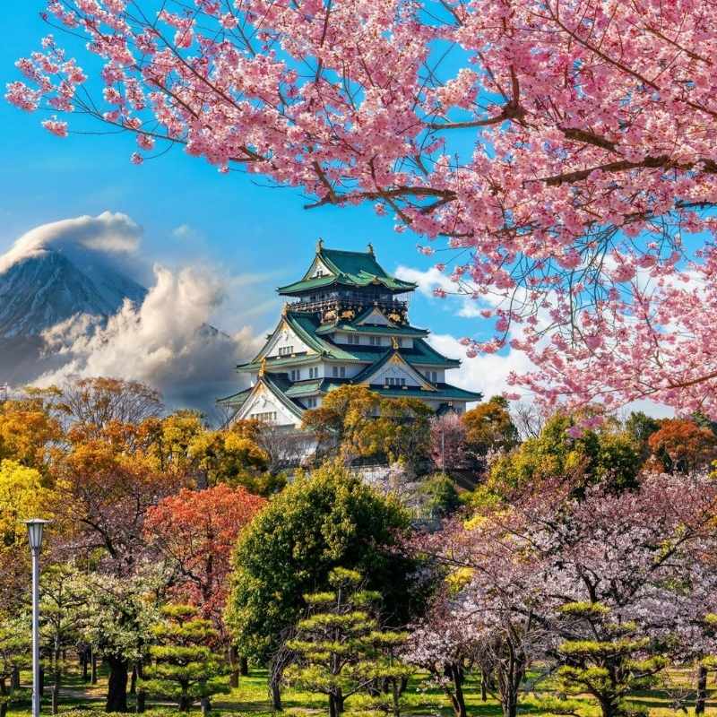 Japan shore excursions - Flower season