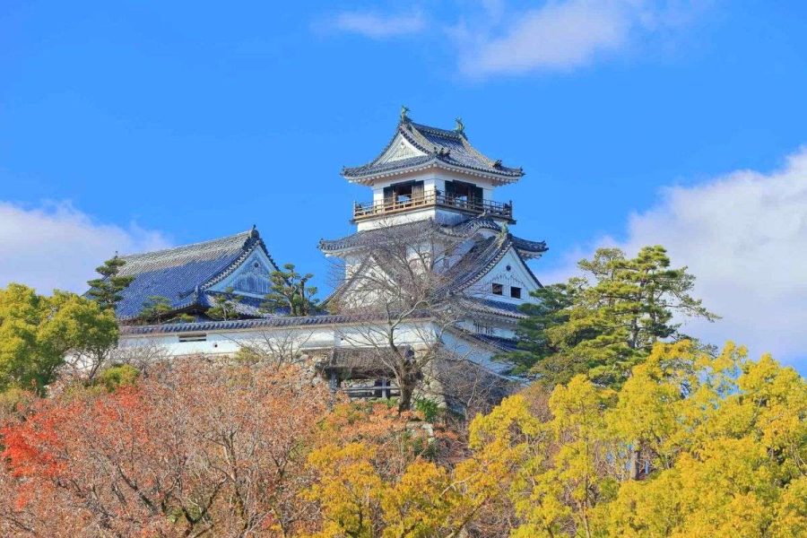 Kochi Castle - Small Group Tours