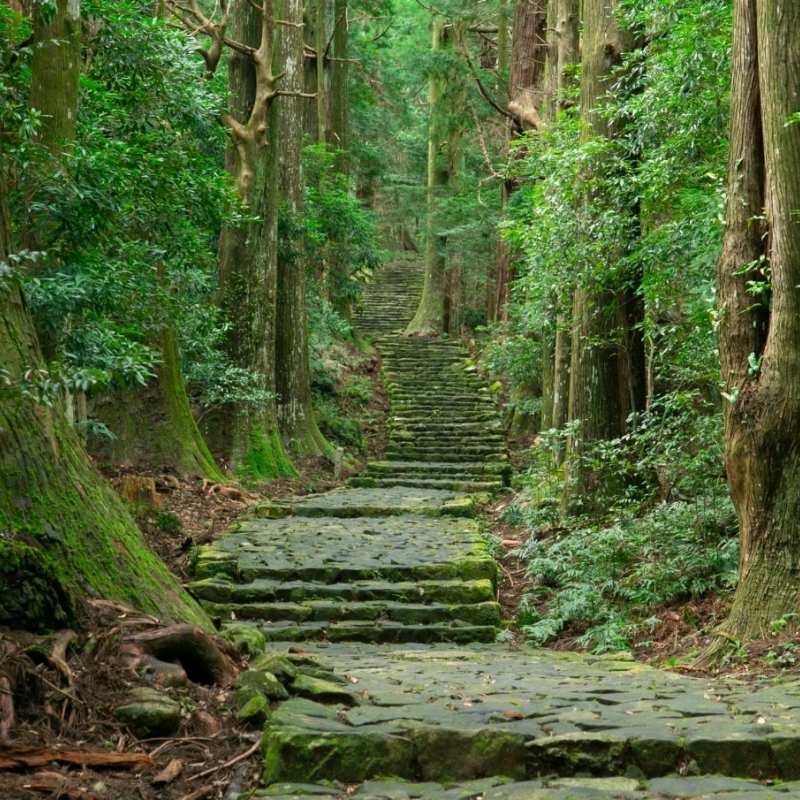 Ancient Pilgrimage Trail on Shingu shore excursions