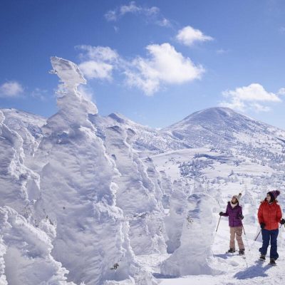 Aomori Shore Excursions