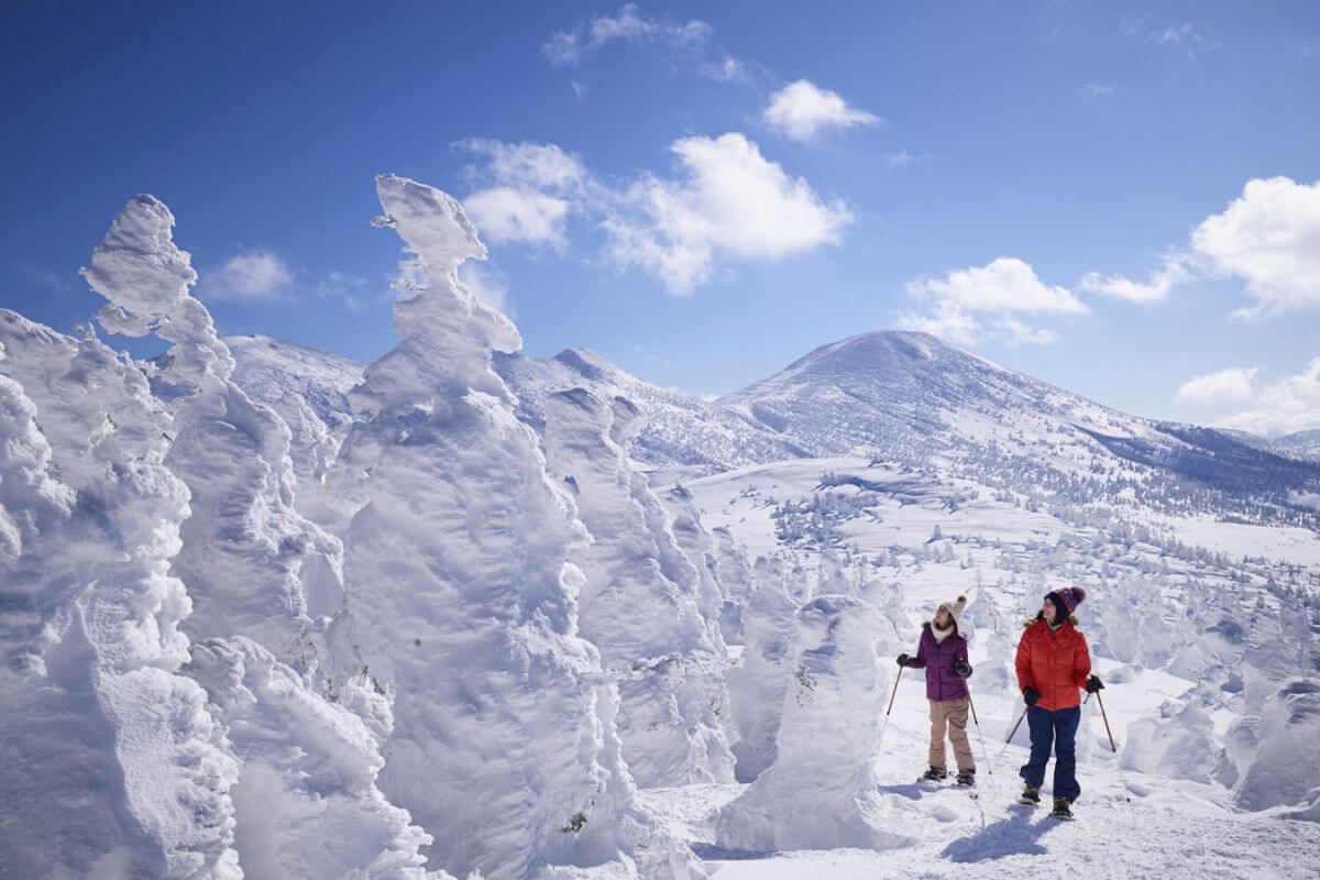 Aomori Shore Excursions