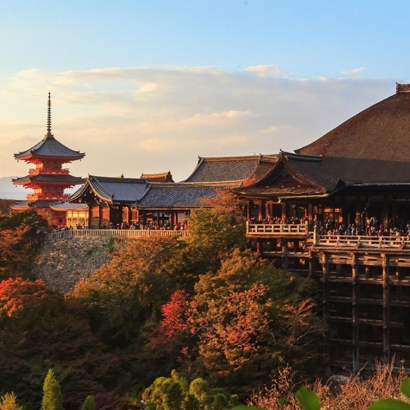 Best shore excursions in Kyoto