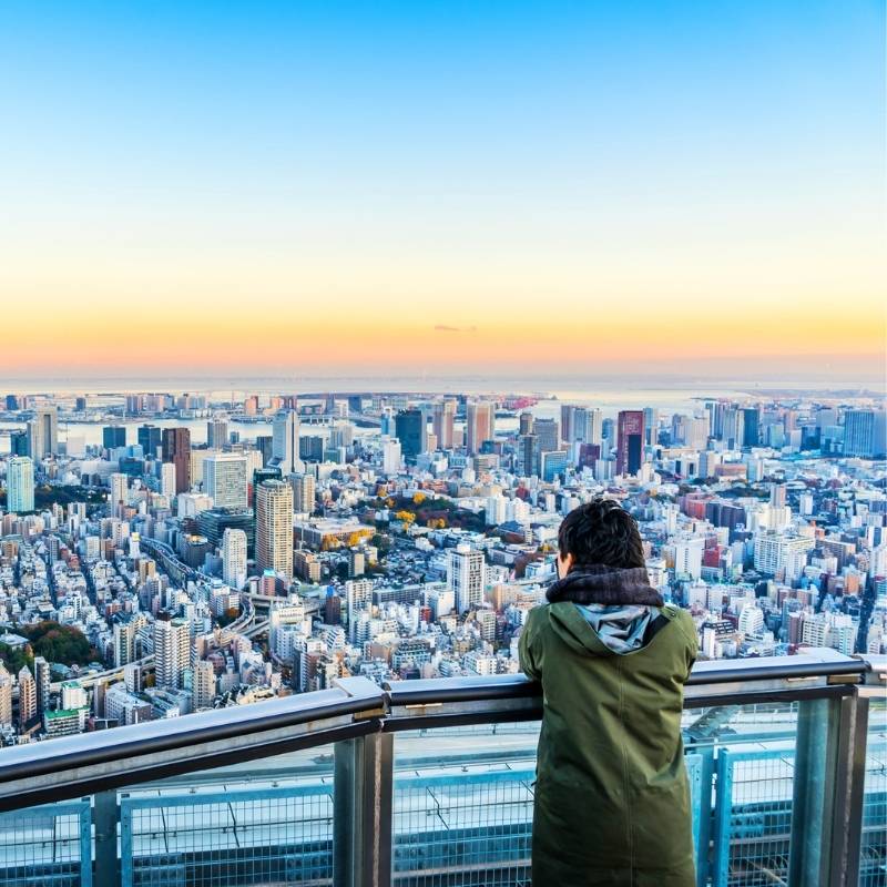 Best shore excursions in Tokyo with observation dec