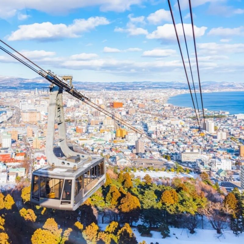 Hakodate shore excursions - Panoramic experience