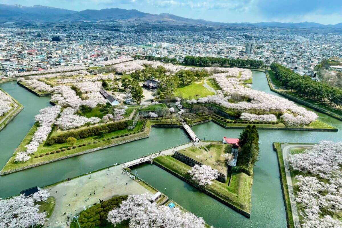 Hakodate Shore Excursions