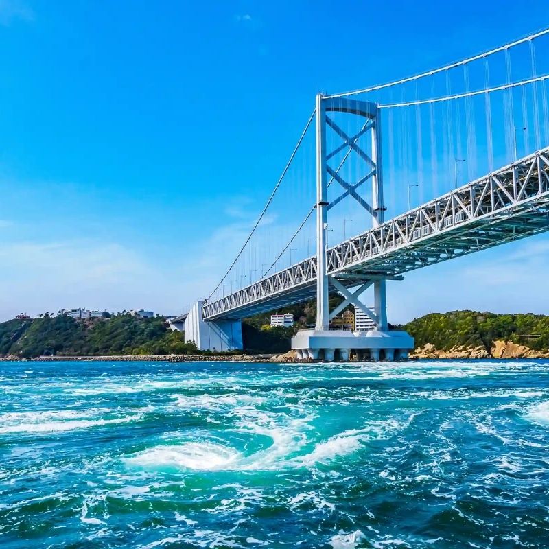 Highlight of Tokushima shore excursions