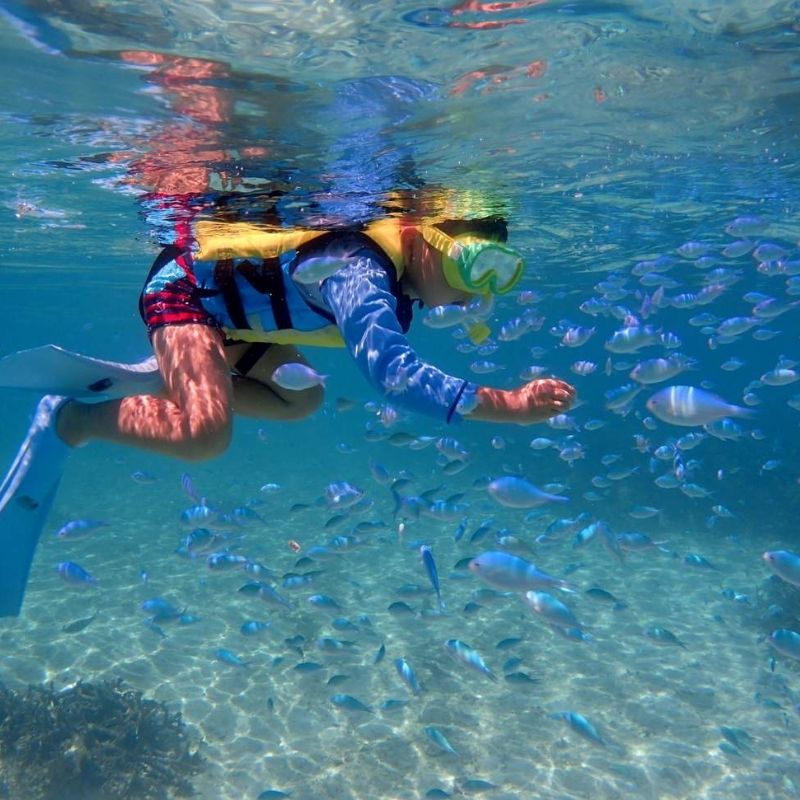 Ishigaki shore excursions - Snorkeling