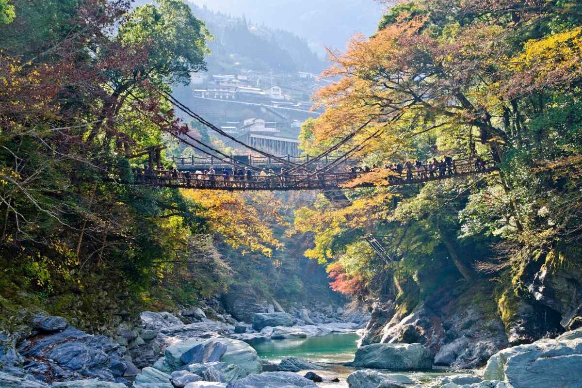 Iya Valley on Tokushima shore excursions