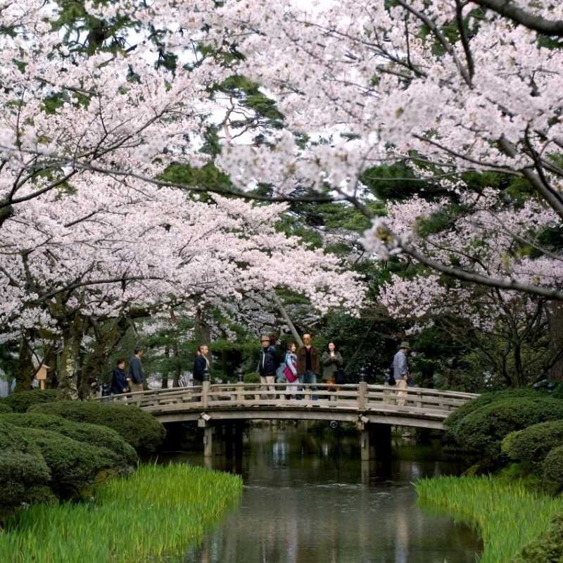 Kanazawa shore trips - Garden Leisure