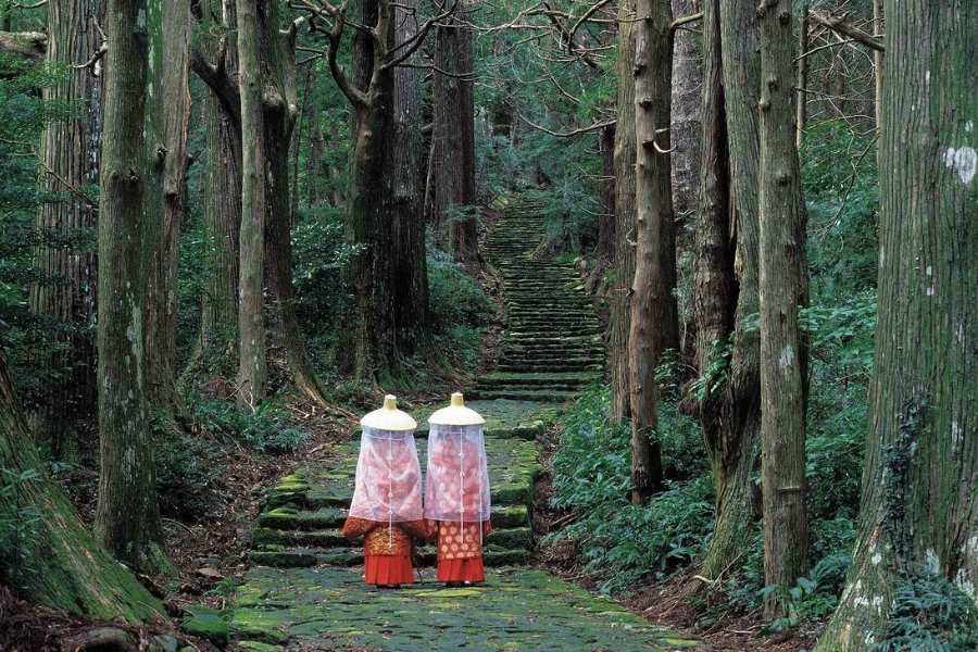 Kumano Kodo Pilgrimage Trails from Shingu Port