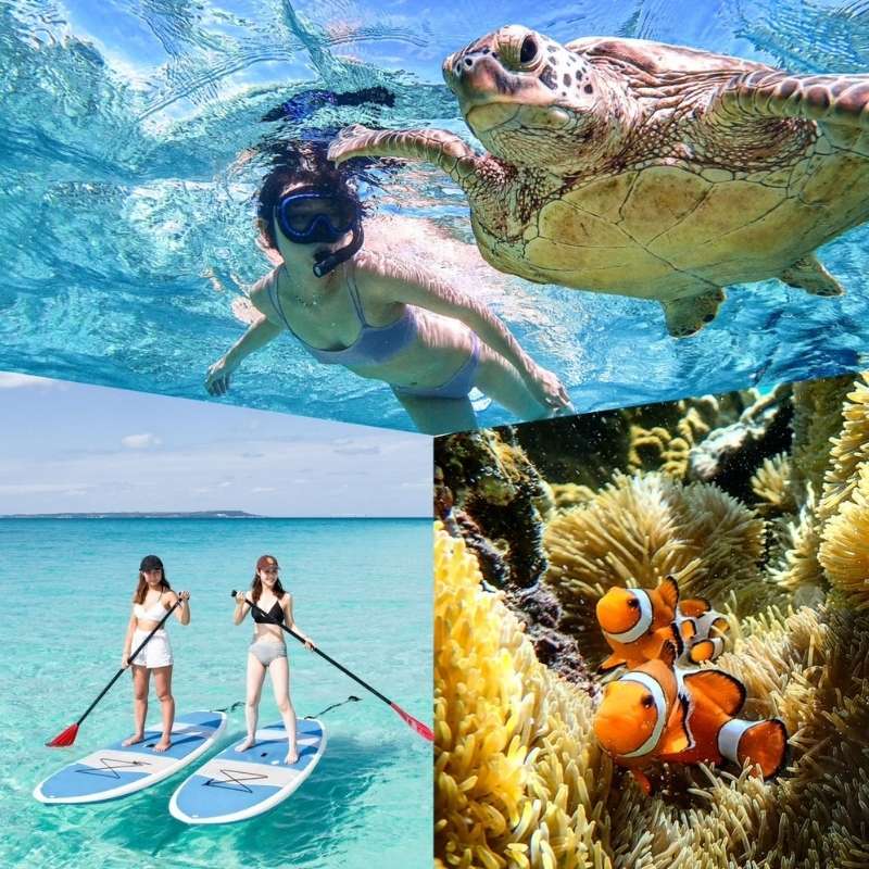 Miyakojima snorkeling tour for cruisers