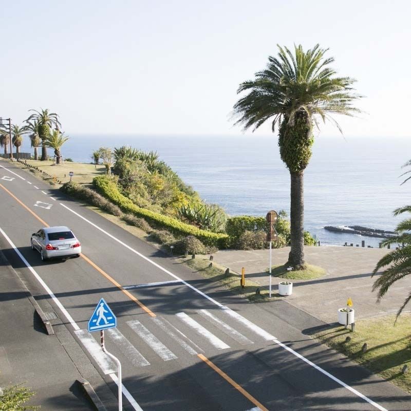 Miyazaki shore excursions - Coastal drive