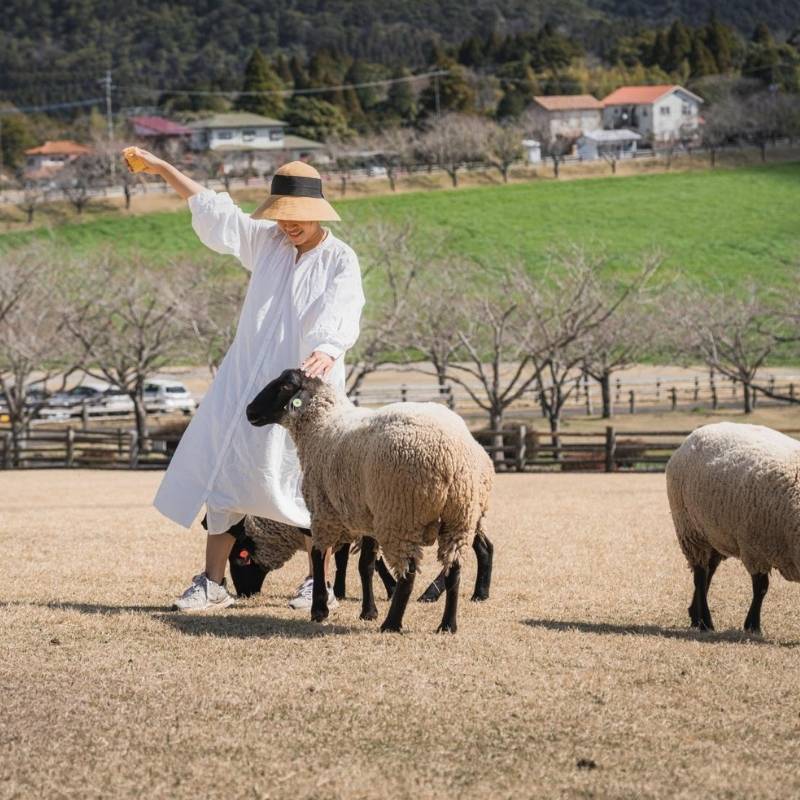 Miyazaki shore trips to farm