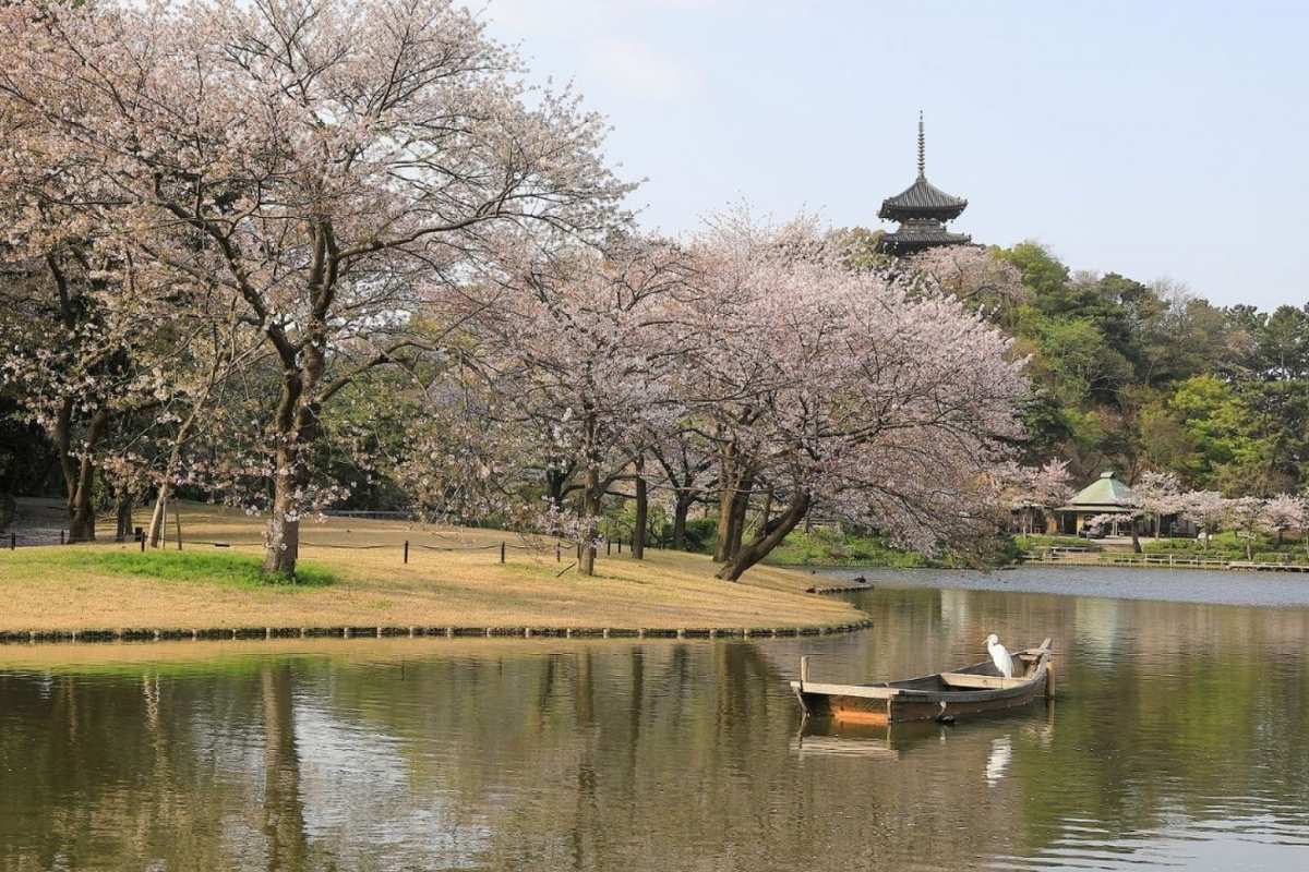Sankeien Garden on shore excursions from Yokohama port
