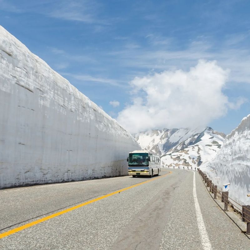Scenic Alpine Routes on Toyama shore excursions