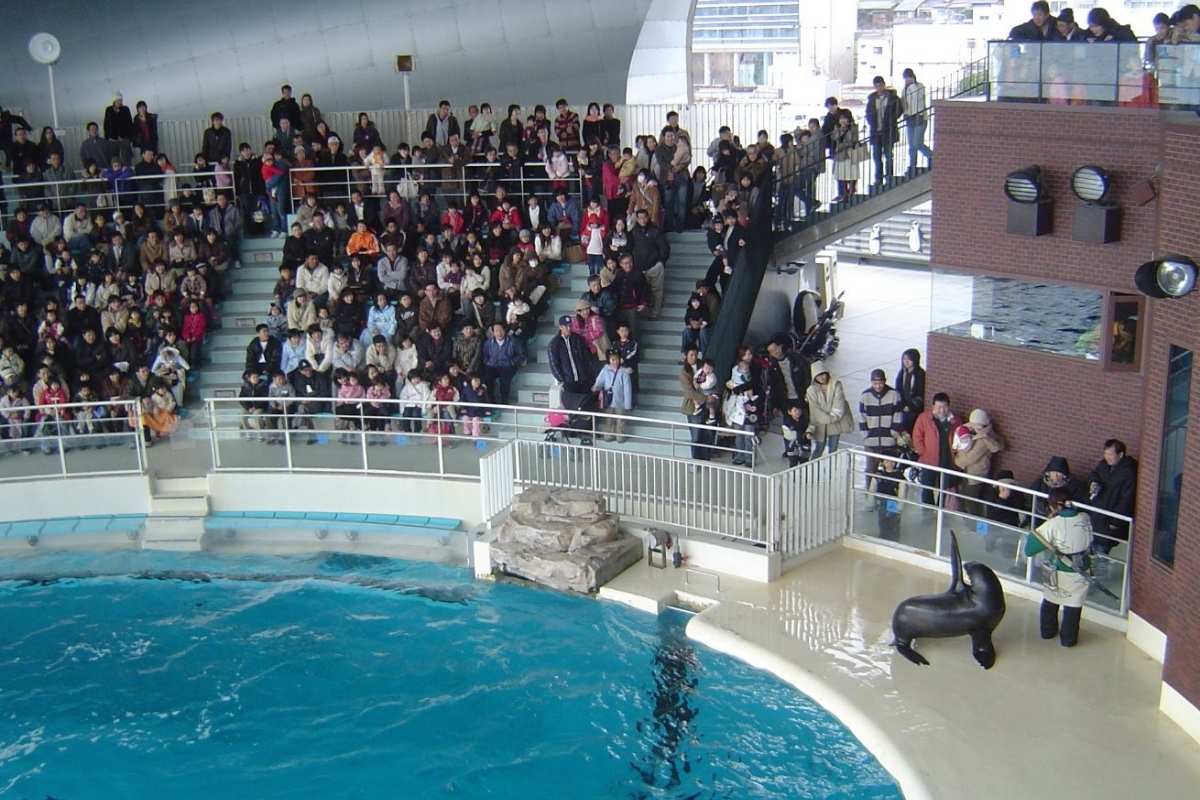 Shimonoseki City Aquarium Tour from Port
