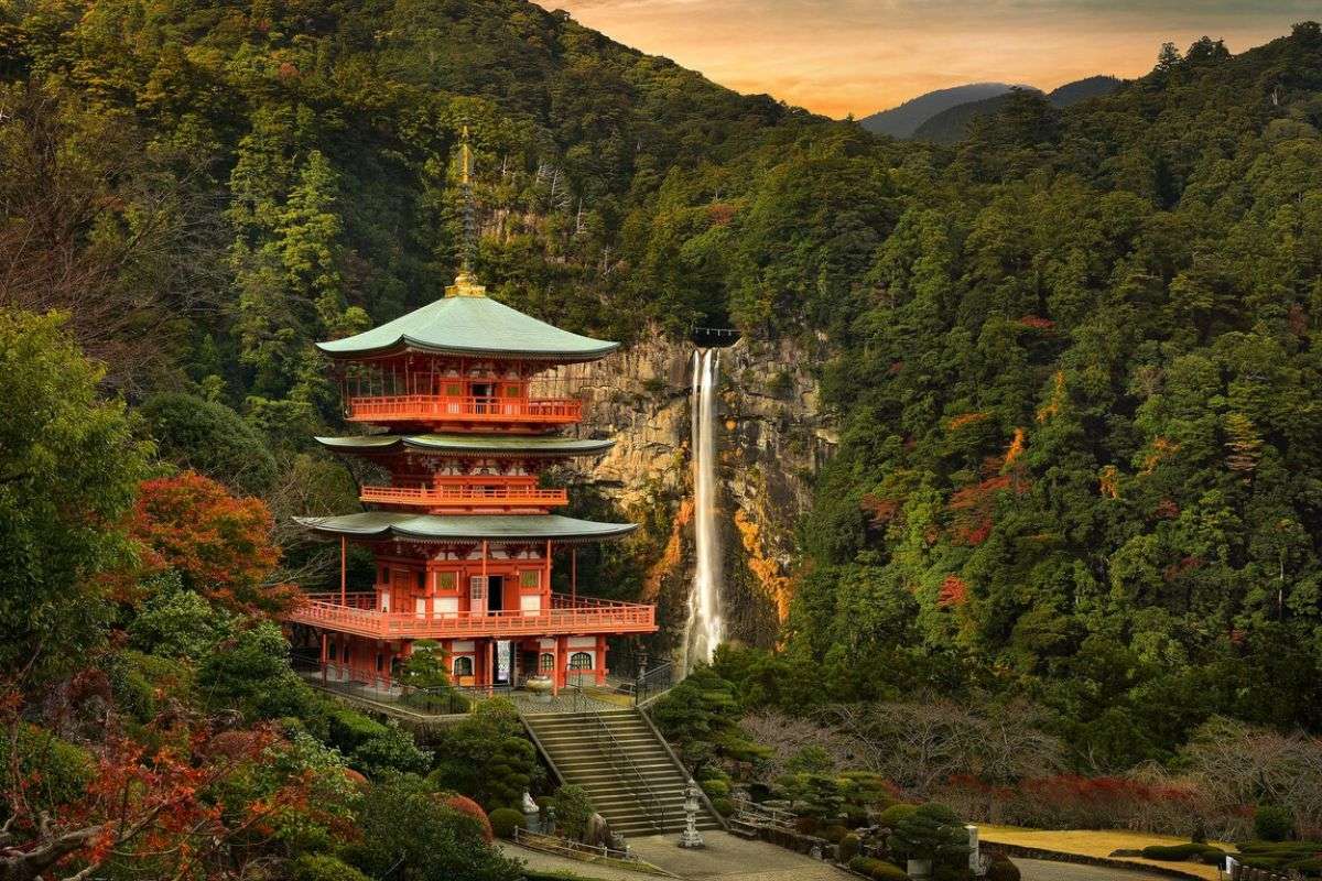 Shingu Shore Excursions
