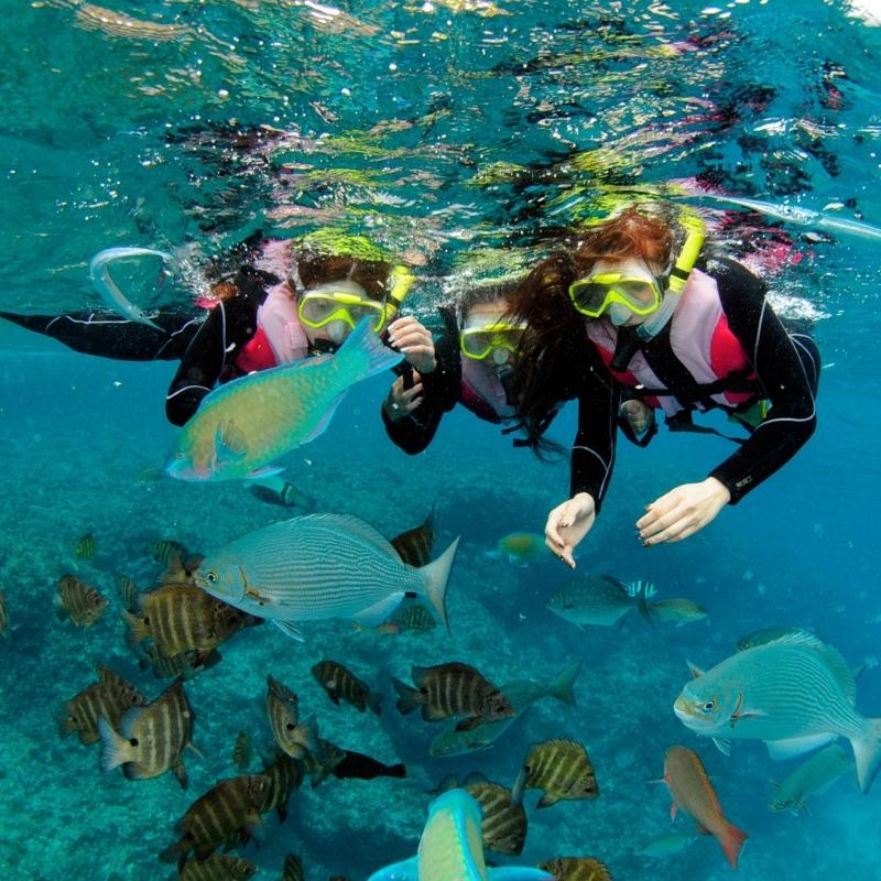 Snorkeling tours on Naha shore excursions