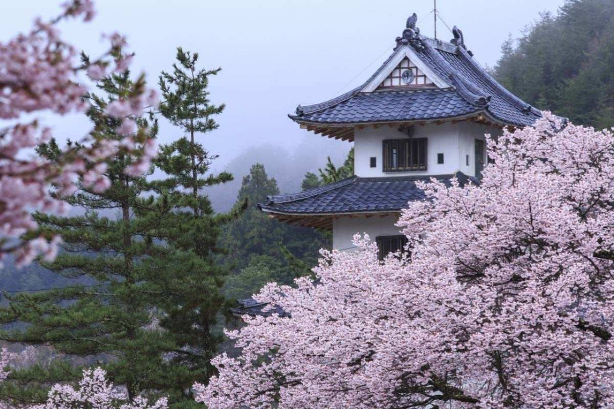Tokushima Castle Ruins Park shore tours