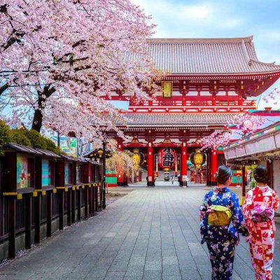 Tokyo Shore Excursions