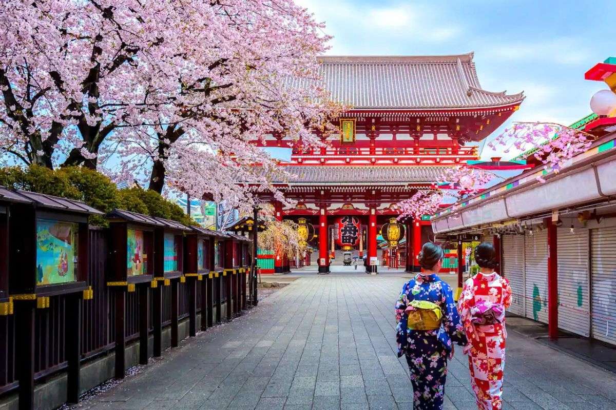 Tokyo Shore Excursions