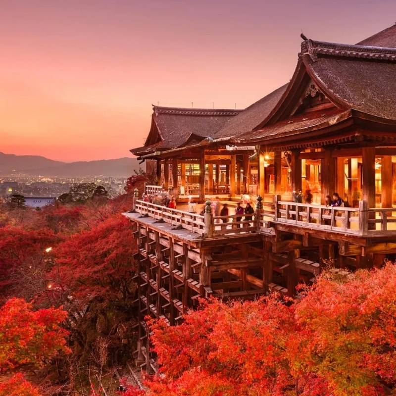 Tsuruga shore excursions connect with local guide