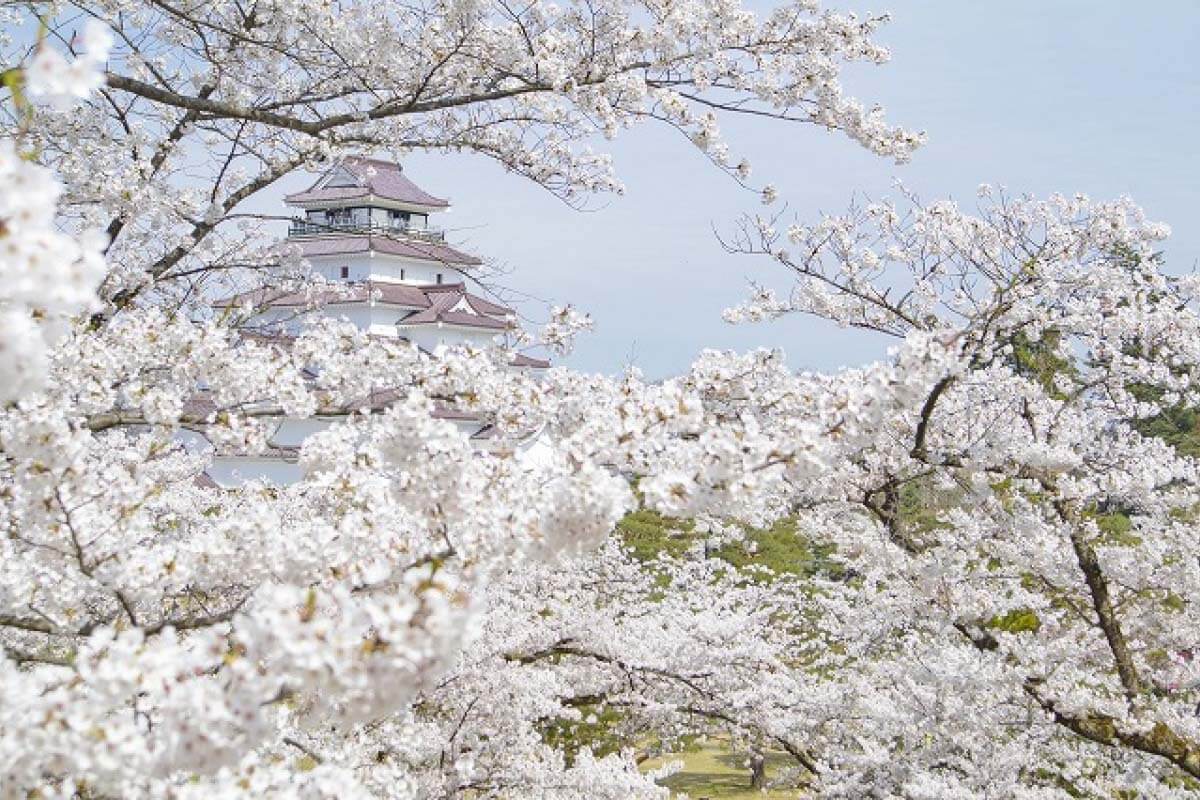 Tsuruga Shore Excursions