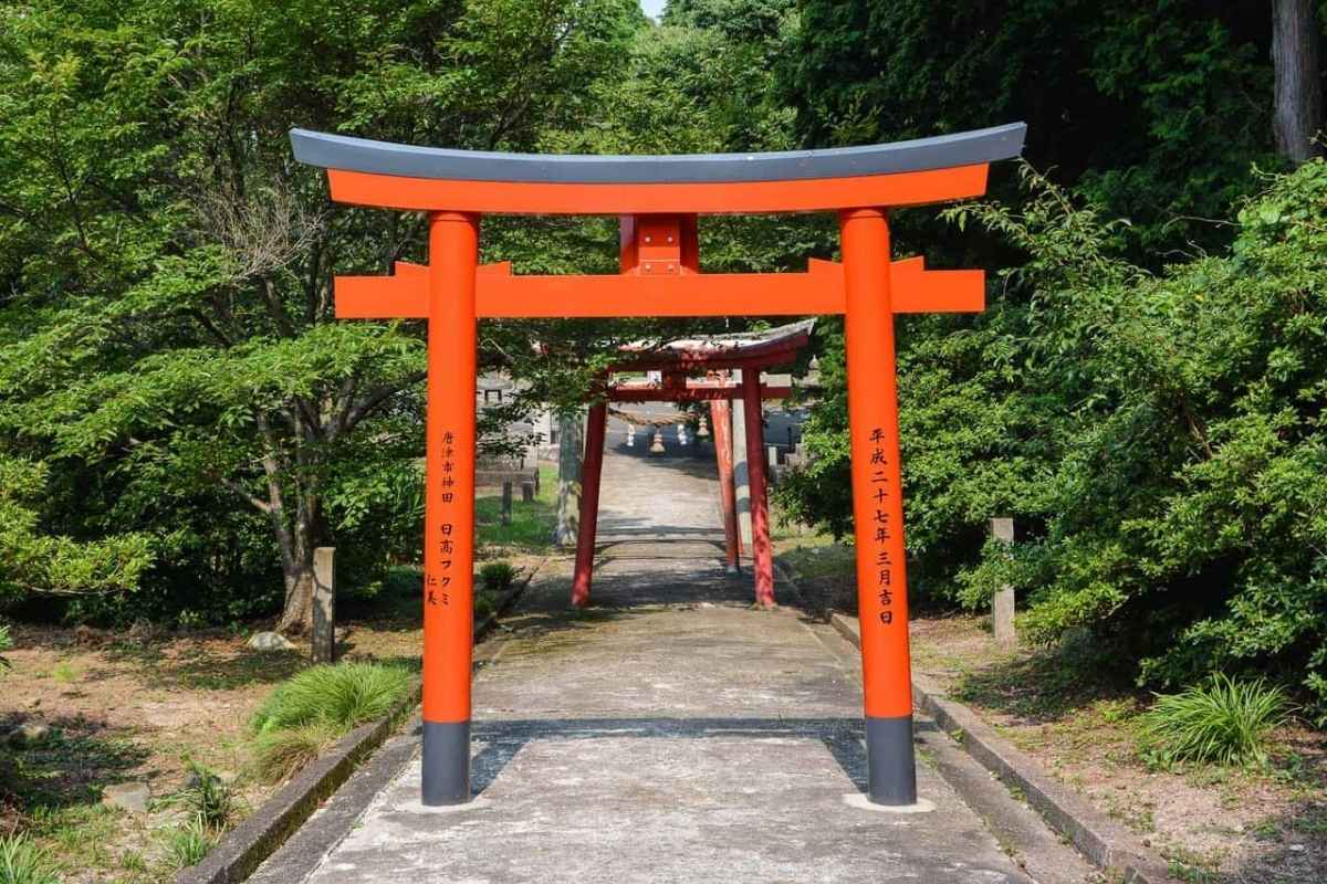 Visit Karatsu shrine on shore tours from port