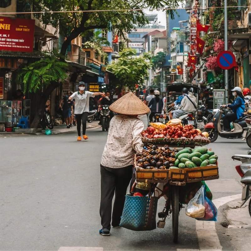 Experience culture on Ha Noi shore excursions