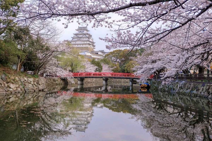 Himeji Castle Park on Kobe highlight tour