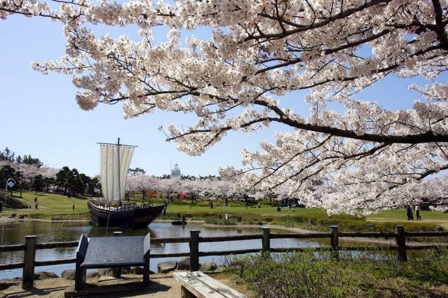 Hiyoriyama Park on Sakata shore tour