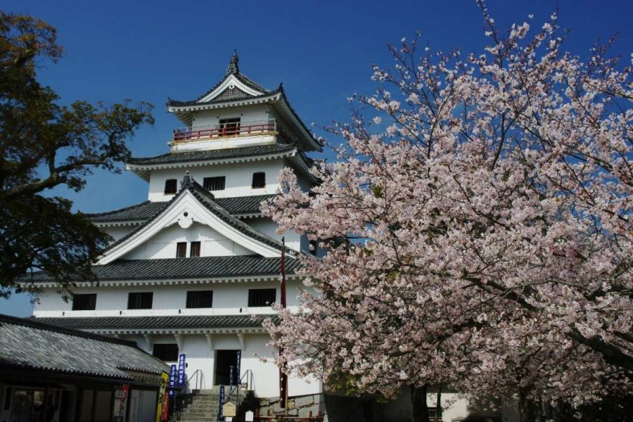 Karatsu Castle on Karatsu highlight tour (1)