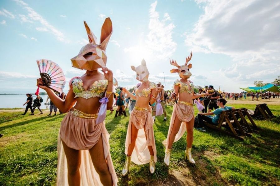 New Zealand festival in summer