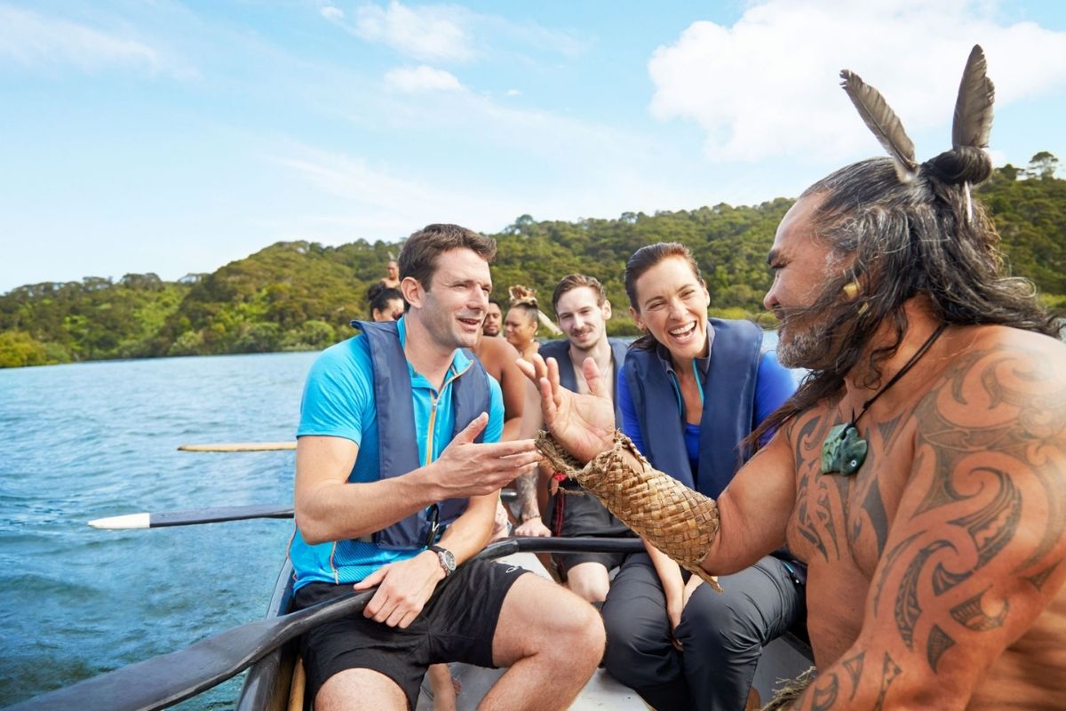 best ways to travel around New Zealand by guided shore excursions