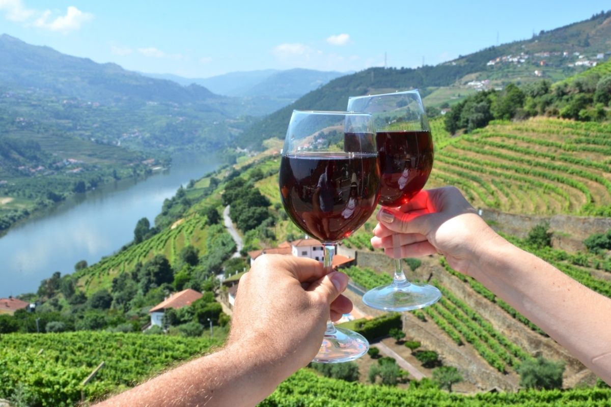 Douro Valley on Portugal shore trips