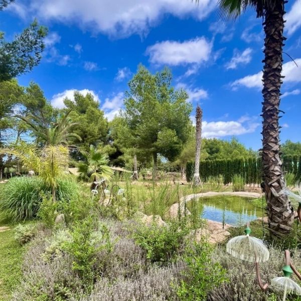 Explore Ibiza nature on shore excursions