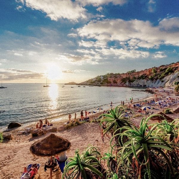Ibiza shore tour to explore island living