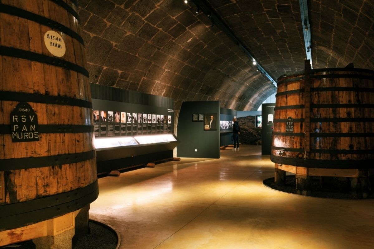 Port Wine Cellars on Porto shore tours