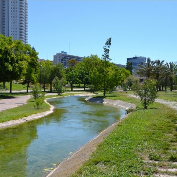 Riverbed on Valencia shore tours