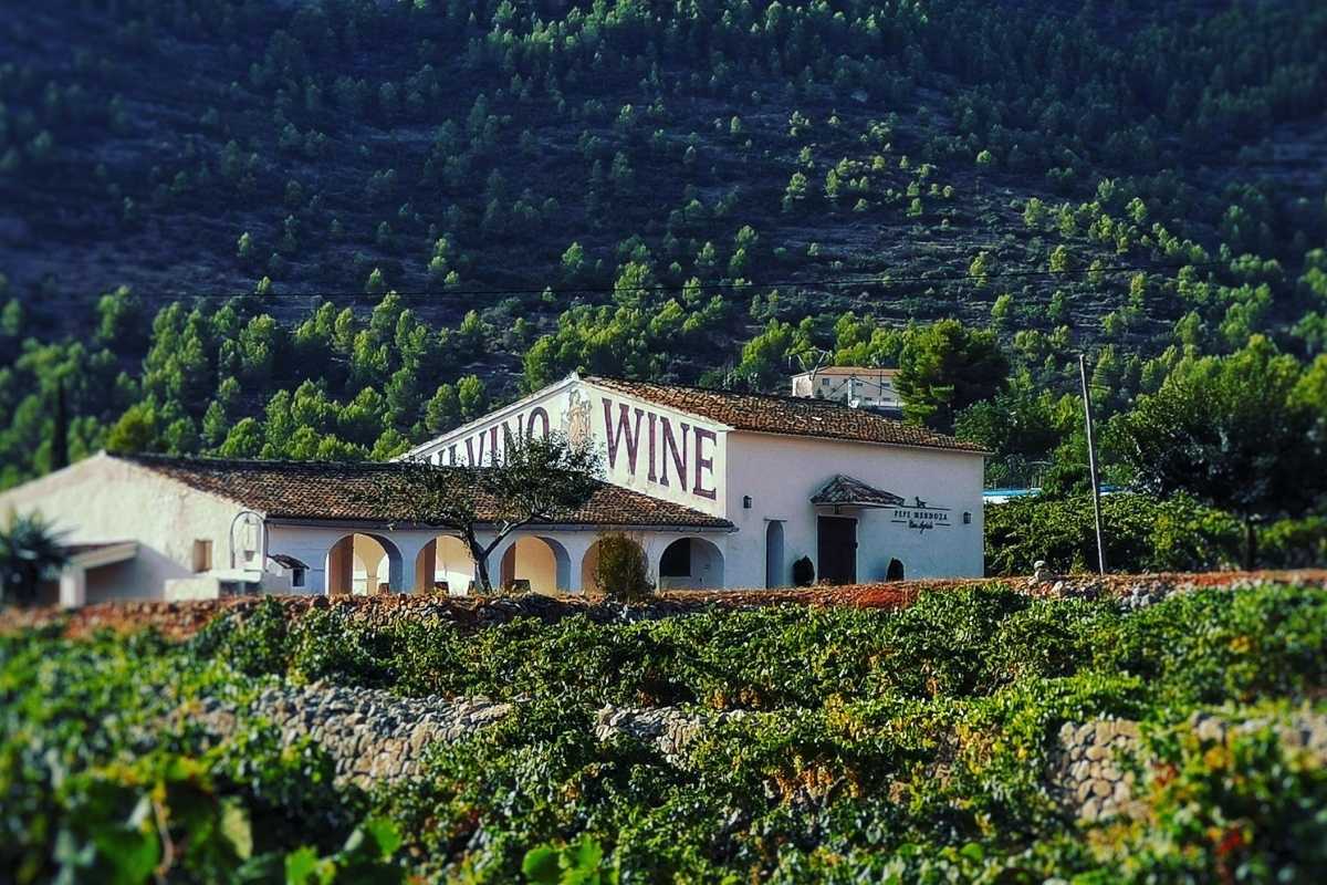 Vinalopó Valley Wine Villages on Alicante tours