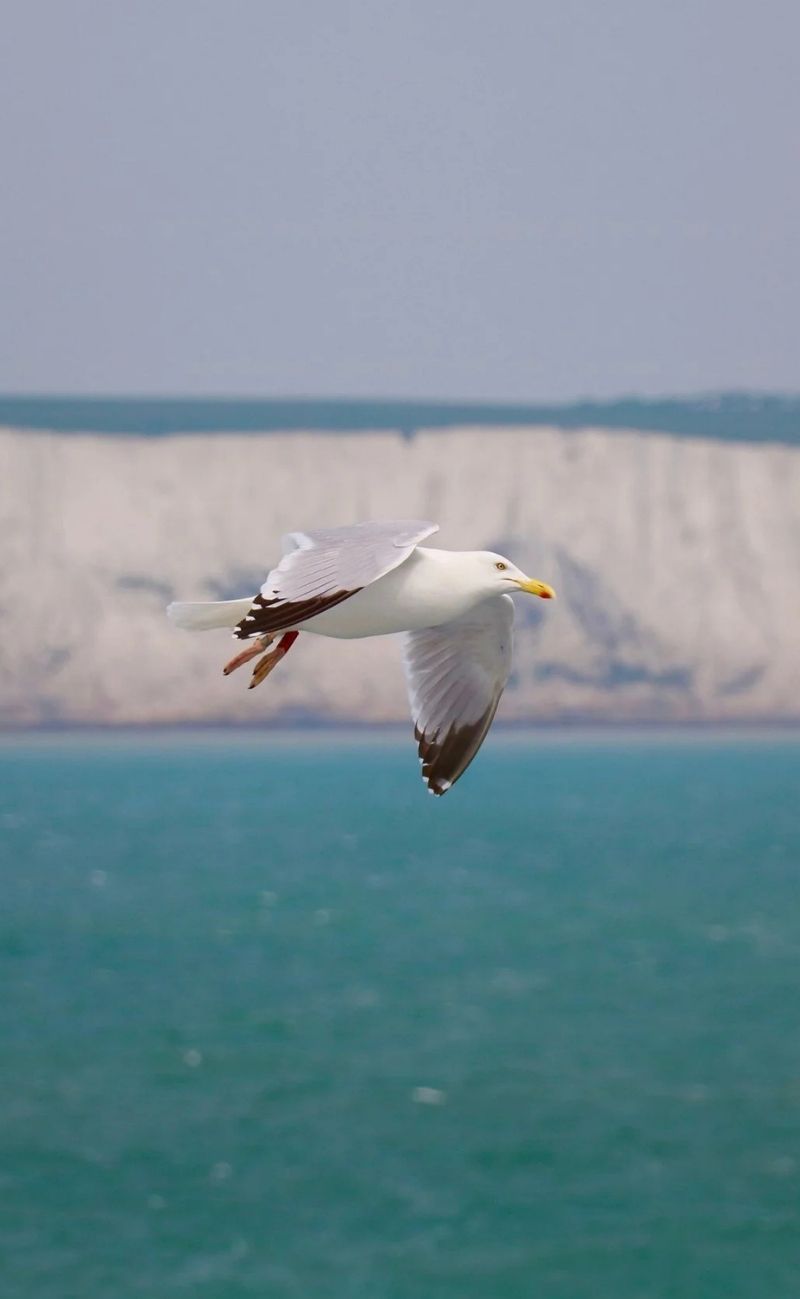 England tours from London cruise port