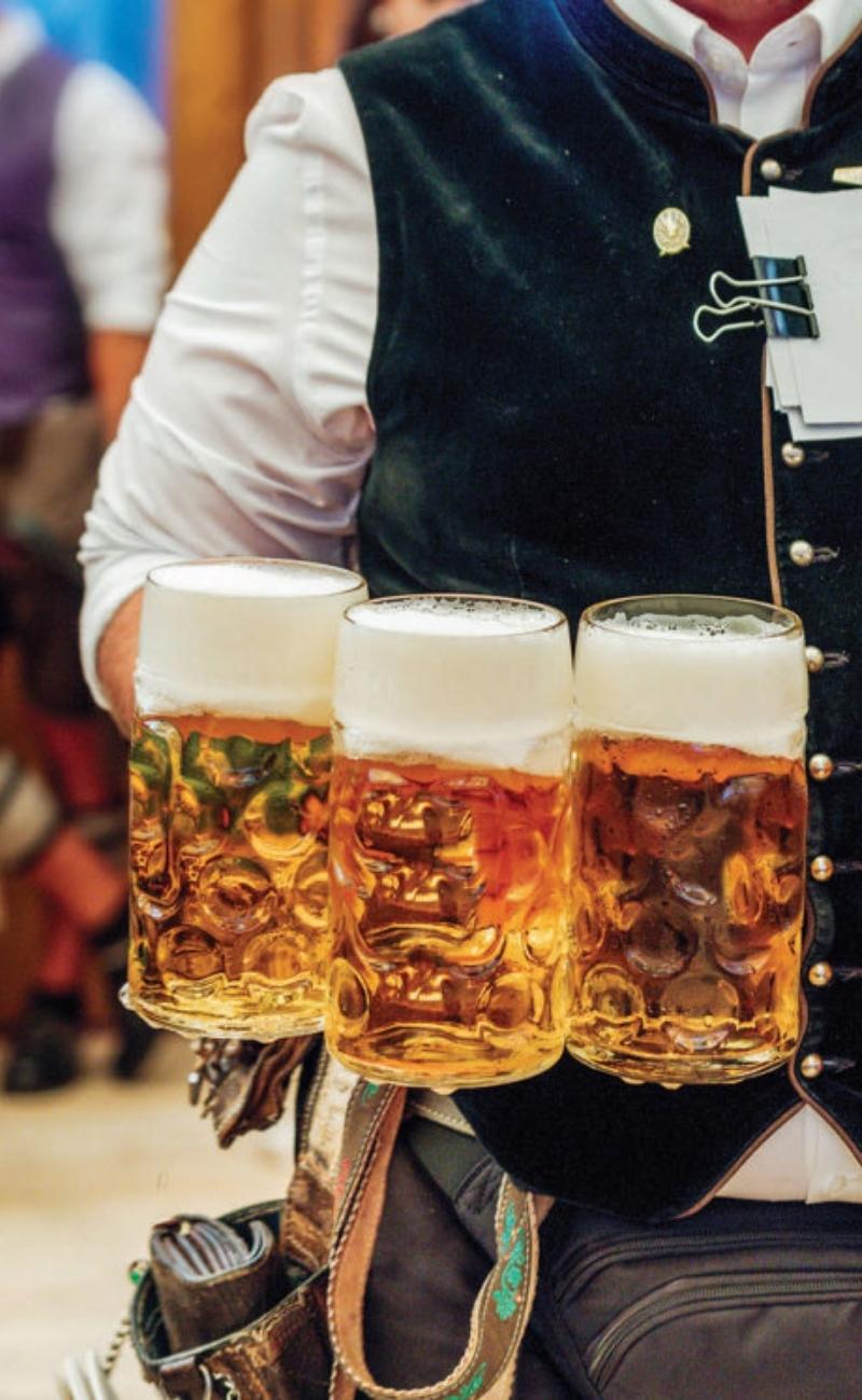 Germany tours from cruise port