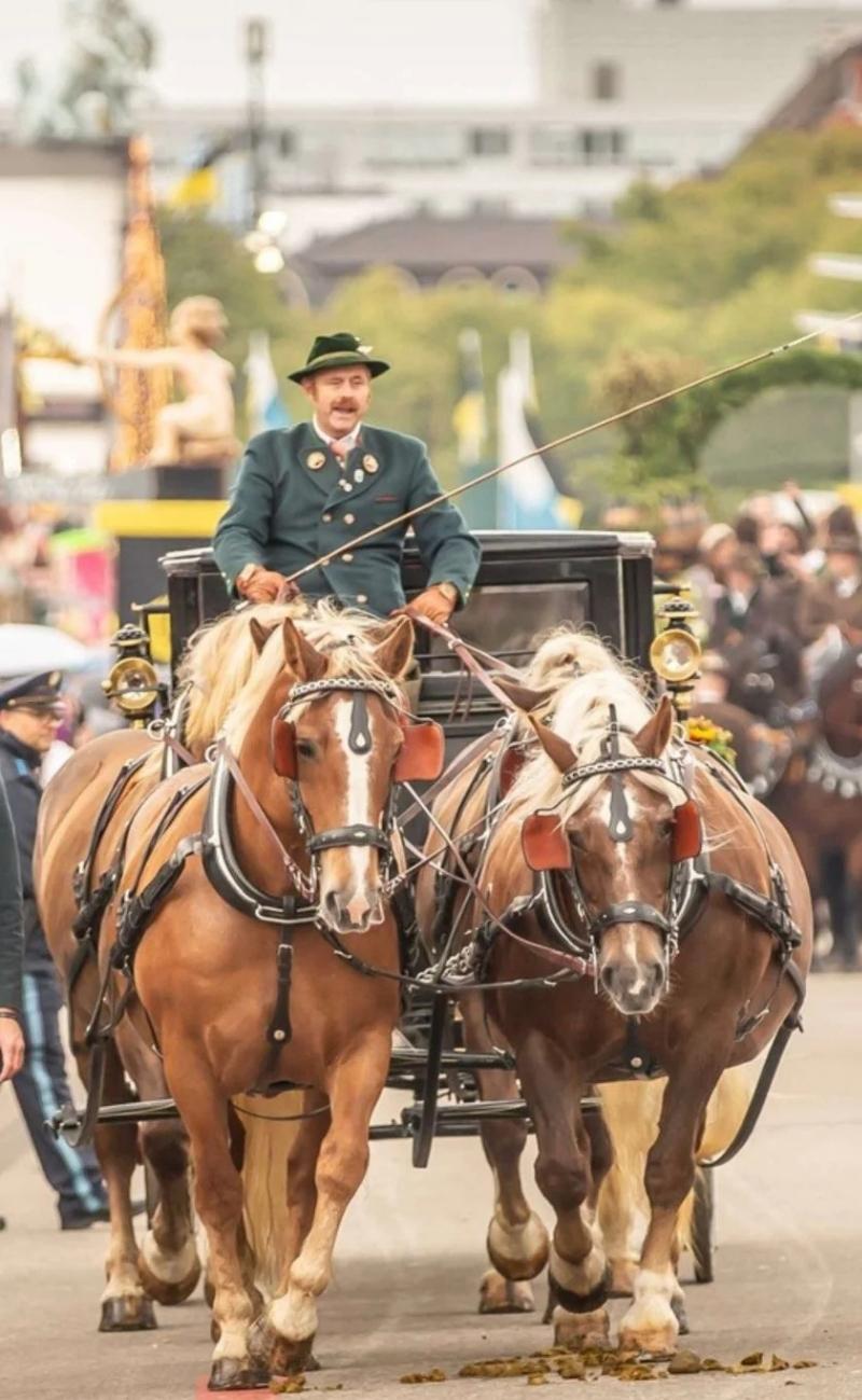 Shore excursions in Germany