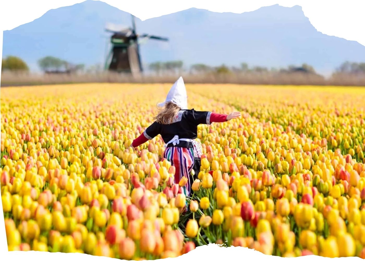 top Netherlands cruise excursions