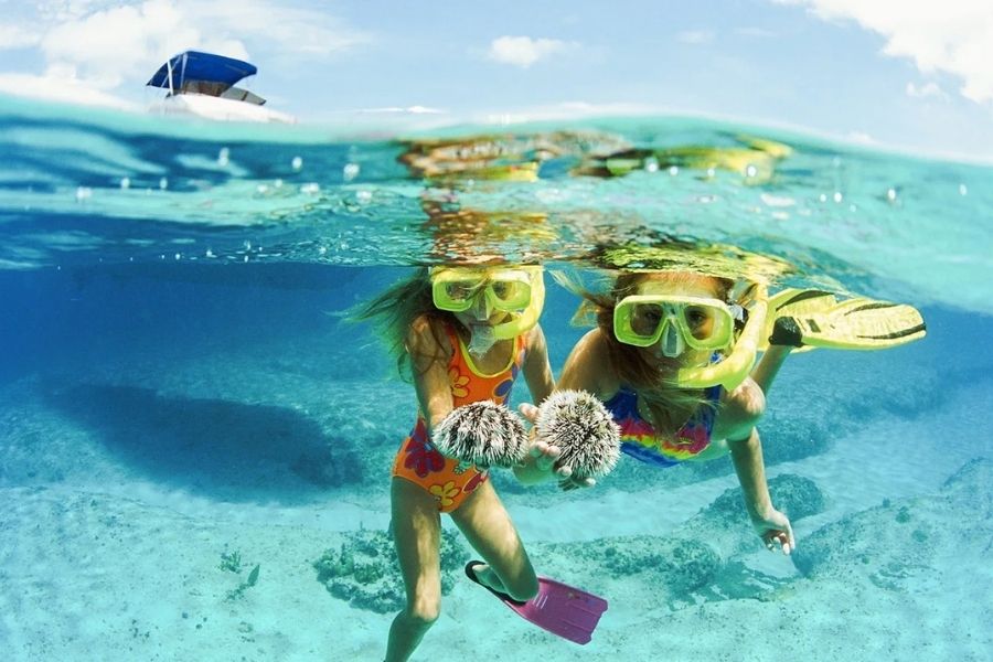 Education of Shore Excursions as Experiential Learning