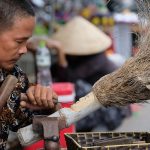 Indochina as a Model for Extended Shore-Based Travel