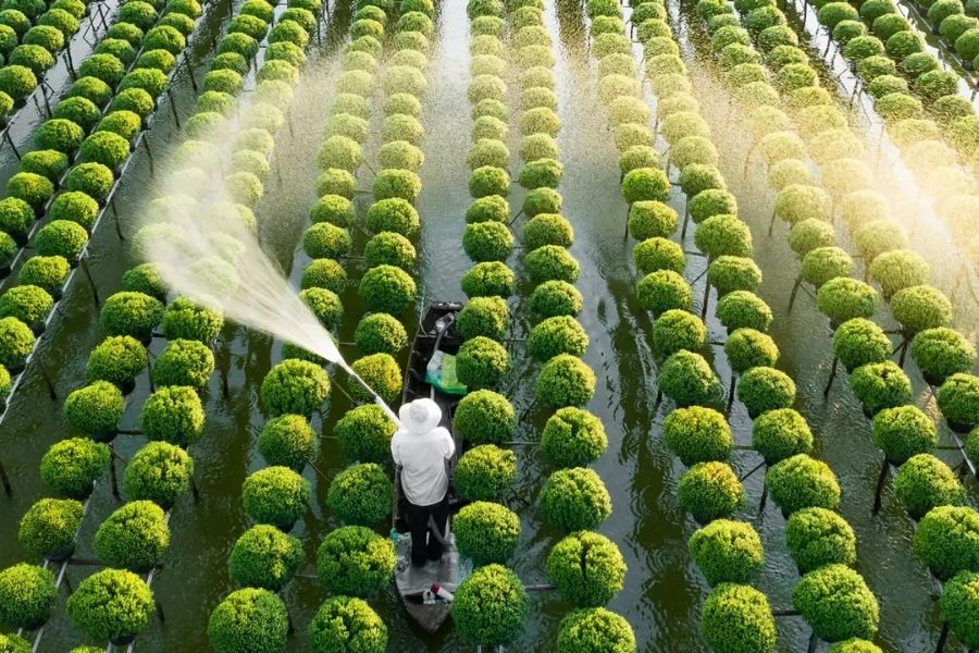 Indochina water-based communities