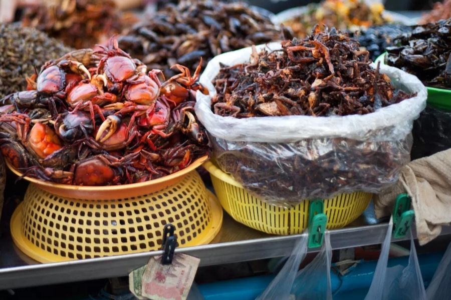Local Food in Southeast Asia Beyond Shore Excursions
