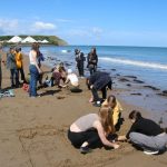 Shore Excursion Destinations Deliver More Than Sightseeing Experiences