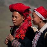 Vietnamese Culture Beyond the Port